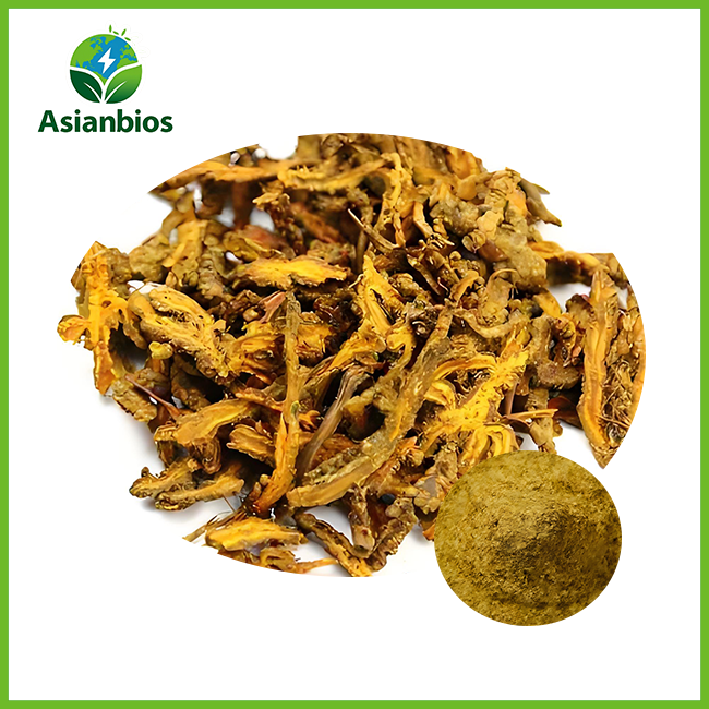 Berberine Hydrochloride Extract Powder